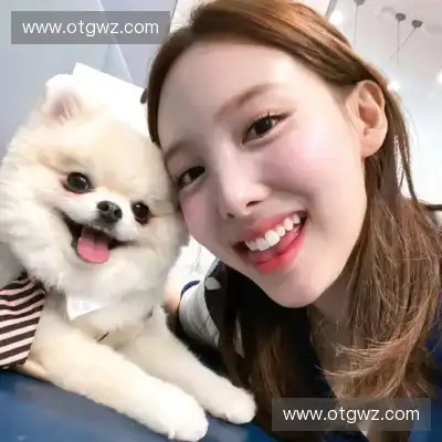 樊茉骊